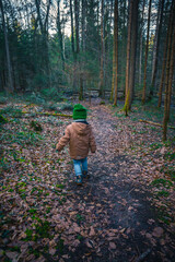 Wald, wandern, Kind, Spaziergang, Junge, kleiner bub, Waldweg	