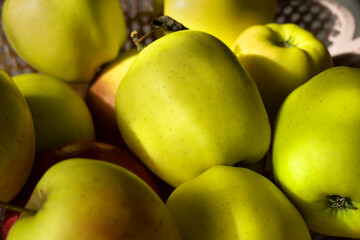 A bunch of green apples are sitting in a basket.