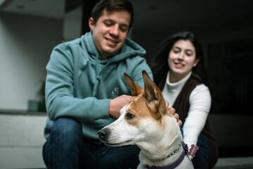 Happy family with their dog in the city. Couple petting their dog in the city