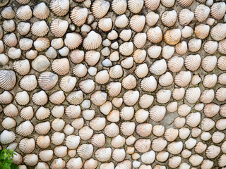 Shellfish stuck to the facade of an ornate wall in O Porto do Barqueiro, La Coruña, Spain, summer 2021