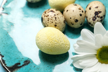 Plate with Easter quail eggs and chamomile flower, closeup