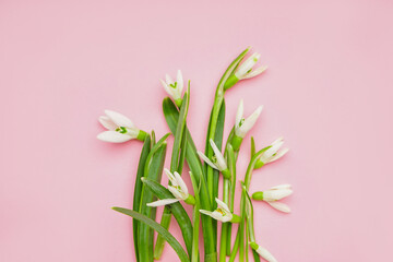 Bouquet of beautiful snowdrops on pink background