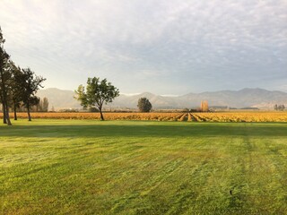 Vista a Viñedo 1