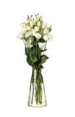 Glass vase with beautiful eustoma flowers on white background