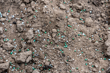 Mineral fertilizers lie on the surface of the soil