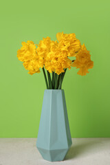 Vase with narcissus flowers on table near green wall