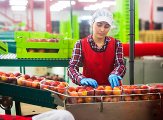 Portrait of confident latina woman working at sorting department at fruits warehouse
