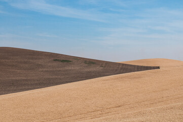 Obraz premium Harvested Wheat Fields in the Palouse