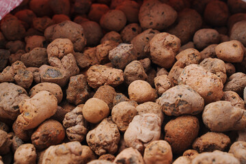 Expanded clay. small lumps of clay used in construction and for growing plants.