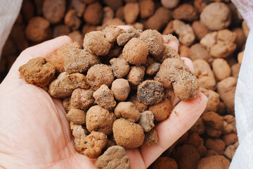 Expanded clay. small lumps of clay used in construction and for growing plants.