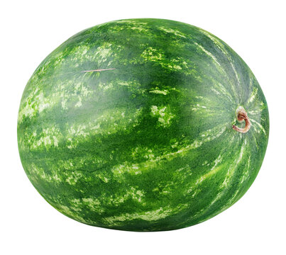 Single ripe watermelon isolated on transparent background