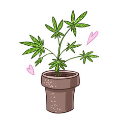 Cannabis cones. Marijuana Branch, Vector Illustration of Medical Weed