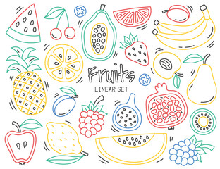 Colored fruits in line art. Continuous linear doodles arts of exotic and fresh fruits. Creative design elements