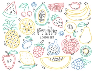 Muurstickers Colored fruits in line art. Continuous linear doodles arts of exotic and fresh fruits. Creative design elements © Mykola Syvak