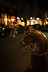Old Horse hitch at night in the New Orleans French Quarter - Portrait 