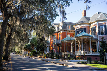 Spanish moss hangs over historic Savannah, Georgia, homes next to Forsyth park in the early morning  - obrazy, fototapety, plakaty