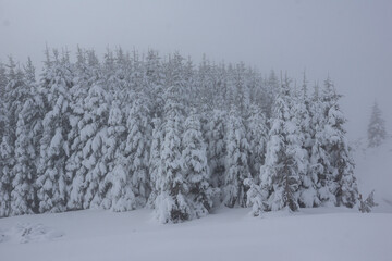 Winter view of Rila mountain near Belmeken Dam, Bulgaria