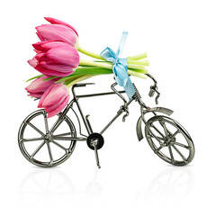 Bouquet of spring pink tulips on a bike isolated on a transparent background