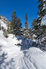 Winter view of Rila Mountain near Malyovitsa peak, Bulgaria