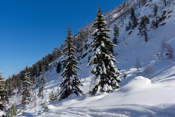 Fototapeta na wymiar Winter view of Rila Mountain near Malyovitsa peak, Bulgaria