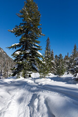 Winter view of Rila Mountain near Malyovitsa peak, Bulgaria