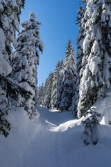 Winter view of Rila Mountain near Malyovitsa peak, Bulgaria