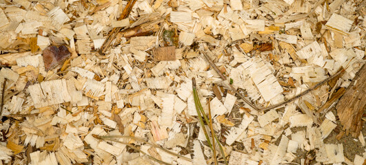 wood sawdust texture for background