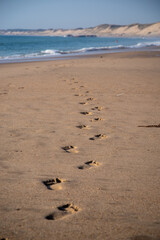 Footprints in the sand with the blue sea and dunes in the background
