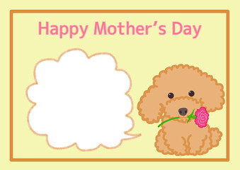 カーネーションをくわえた座るもこもこトイプードルカード