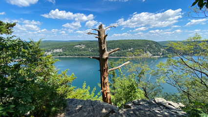 dead old tree on top of bluff with lake