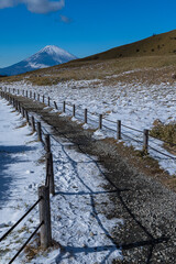 Fototapeta premium 日本 神奈川県足柄下郡箱根町の駒ヶ岳山頂から見える富士山