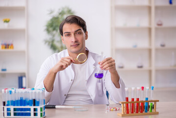 Young male chemist working at the lab