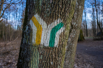 Oznaczenia szlaków turystycznych, Szlak żółty, szak zielony. Oznaczenia szlaków na drzewie  - obrazy, fototapety, plakaty