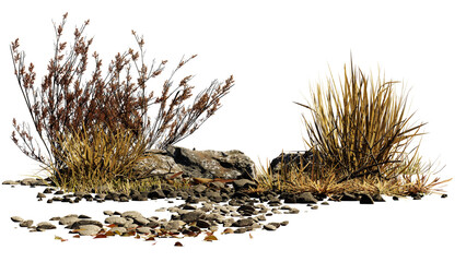 desert scene cutout, dry plants with rocks, isolated on transparent background  - 580470524