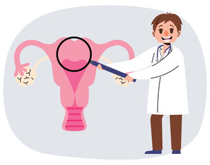 Vector illustration of male obstetrician doctor showing detail bicornuate uterus with magnifying glass. Women fertility health concept