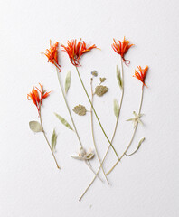 Abstract orange flower arrangement on white background