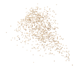 White Pepper seeds fly explosion, white Pepper float explode, abstract cloud fly. Peppercorn splash throwing in Air. White background Isolated high speed shutter, freeze motion