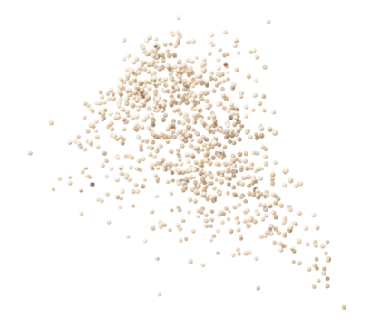 White Pepper seeds fly explosion, white Pepper float explode, abstract cloud fly. Peppercorn splash throwing in Air. White background Isolated high speed shutter, freeze motion