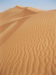 sand dunes in the desert