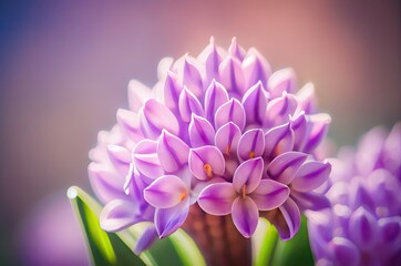 Hyacinth Flower Macro Shot With Copy Space Generative AI