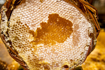 food, nature, white, closeup, texture, macro, isolated, sunflower, gold, grain, bee, flower, honey, natural