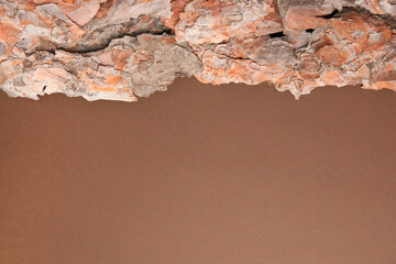 Tree bark piece on brown background, top view. Space for text