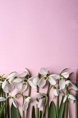 Beautiful snowdrops on pink background, flat lay. Space for text