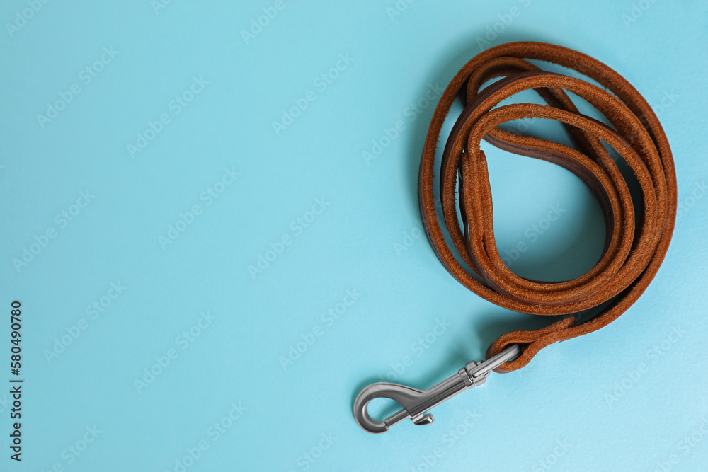 Poster Brown leather dog leash on light blue background, top view. Space for text