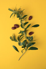 Fototapeta na wymiar Fresh olives and green leaves on yellow background, flat lay