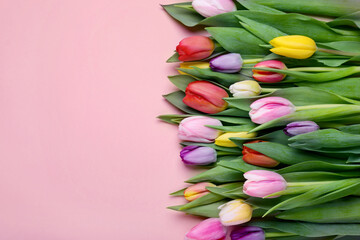 Beautiful tulips on pale pink background, flat lay. Space for text