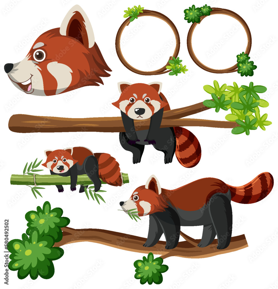 Wall mural mix set of red panda