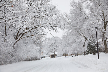 My street before the snow plow comes to dig out the neighborhood after a big snow storm near Minneapolis Minnesota in January