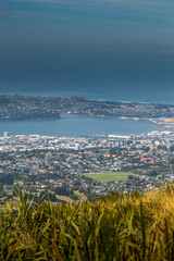 Dunedin from Flagstaff loop track in portrait perspective