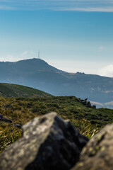 Mt Cargill from Flagstaff loop track in portrait perspective